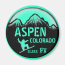 Search for sea green magnets Fridge