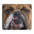 Recherche de bouledogue français planches à découper Chien