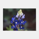 Recherche de le texas photographie Printemps