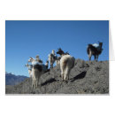 Search for andes mountain cards Llama