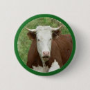 Search for cow buttons Bird