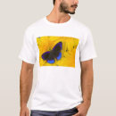 Recherche de de papillons photographie Coloré