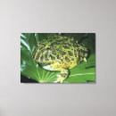Search for unusual canvas prints Animal
