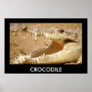 Recherche de crocodile posters Faune