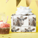 Recherche de vache drôle papier cadeau Anniversaire