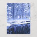 Recherche de conifère cartes postales Bleu