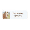 Search for draught horses cards invites Rustic