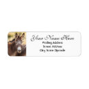 Search for mule return address labels Horse