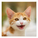 Recherche de funny meow posters Cat