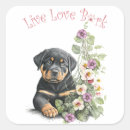 Recherche de chiot rottweiler autocollants Amoureux des chiens