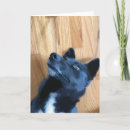 Search for funny face cards Cute