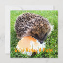Recherche de hedgehog invitations Animal