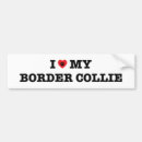 Search for collie dog bumper stickers Puppy