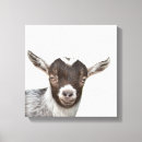 Search for farm animals canvas prints Farmhouse