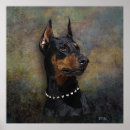 Recherche de pinscher posters Dobermann