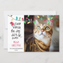 Search for funny cat sayings cards Modern