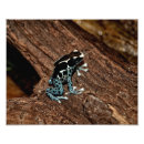 Search for arrow outdoor signs Tree