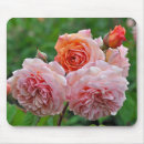 Search for spring love mousepads Floral