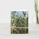 Search for corn field cards Summer