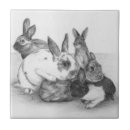 Recherche de dessin lapin carreaux Lièvre