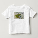Search for tree frog tshirts Washington