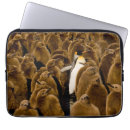 Search for penguin laptop cases Animals in the wild