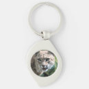 Search for bobcat keychains Feline