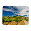 Recherche de vignoble magnets Rangée