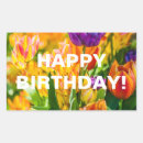 Search for tulip rectangle stickers Rainbow