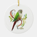 Search for conures Parrots
