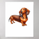 Search for dachshund dog watercolor art Dogs