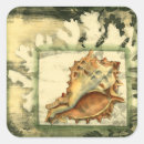 Search for conch shells stickers Beach