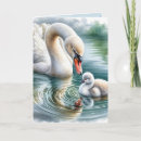 Search for swan birthday cards Cute