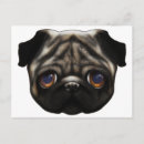 Recherche de carlin triste posters Mignon