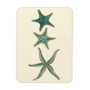 Recherche de mer bleue magnets Vie marine