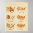 Search for occupations posters Statistical
