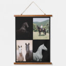 Search for equestrian art Horse photography
