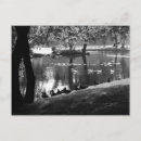 Search for pond life postcards Birds