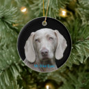 Search for weimaraner ornaments Dog