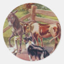 Recherche de clôture autocollants Veau