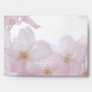 Search for sakura photography Nature