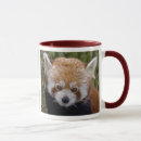 Recherche de panda rouge tasses Mammifères