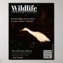 Search for wildlife conservation posters Nature
