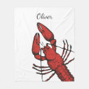 Search for lobster blankets Sea