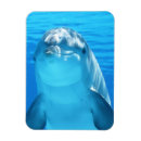 Recherche de animaux marins magnets Mignon