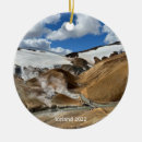 Recherche de terre ornements Nature