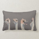 Recherche de autruches coussins Aquarelle