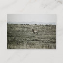 Search for elk business cards Mountains