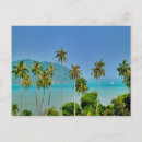 Recherche de arbre exotique cartes postales Plage