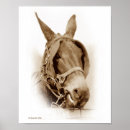 Search for working farm posters Photography